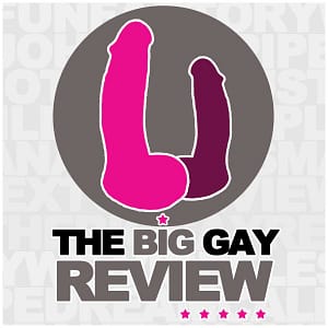 Logo image for The Big Gay review of our play sheets, showing cartoon dildos in bright Pink on grey