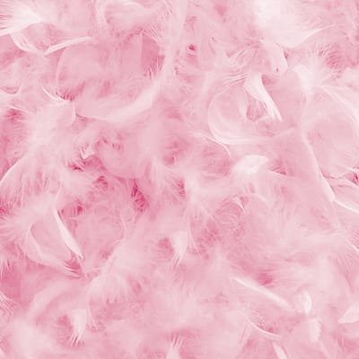 Printed Throw – Pink Feathers